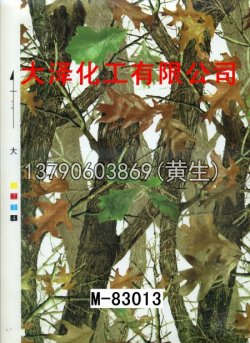 枫叶100个型号(系列1)93