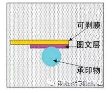 水标转印工程 .jpg